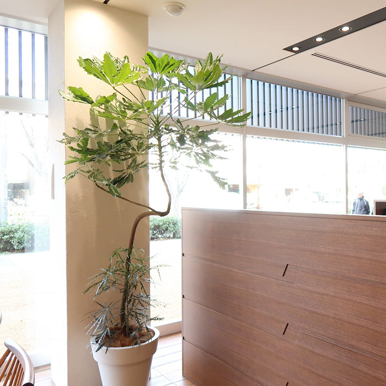 ネッツテラス 夙川