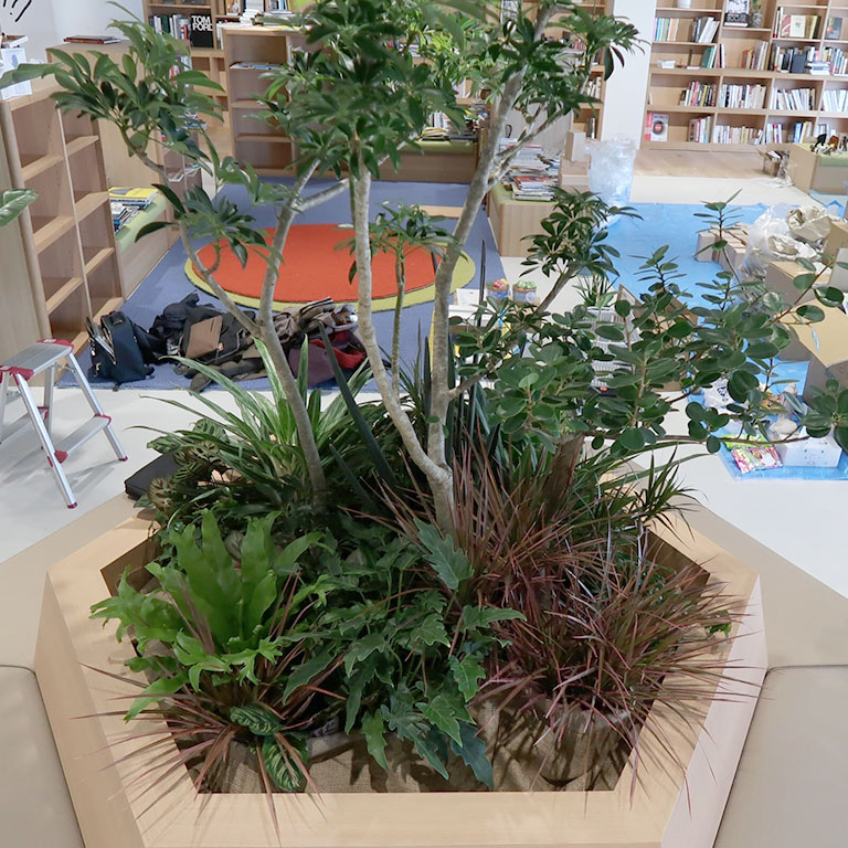 ネッツテラス 夙川