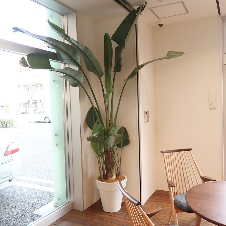 ネッツテラス 夙川